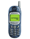 Best available price of Motorola T190 in Uzbekistan