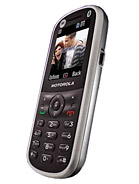 Best available price of Motorola WX288 in Uzbekistan