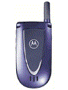 Best available price of Motorola V66i in Uzbekistan